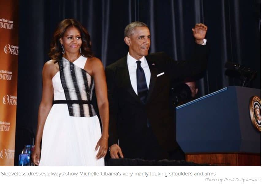 [IMAGE of Michael, aka:  Michelle Obama